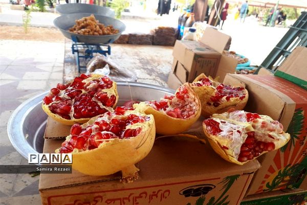 برگزاری نخستین جشنواره انار و خرمای شهر خاوران