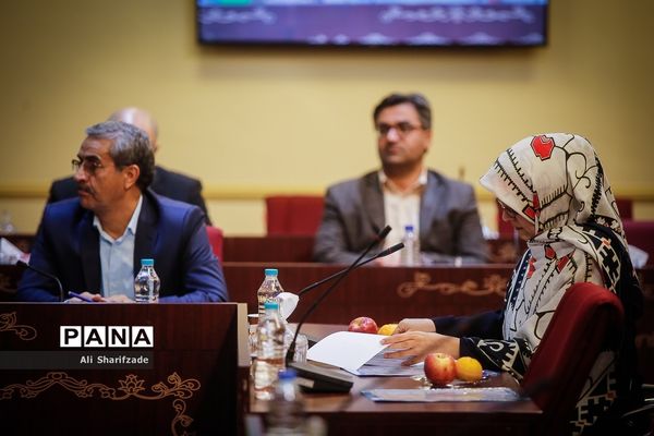 جلسه ستاد ملی ساماندهی امور جوانان