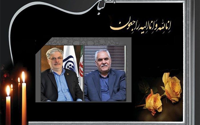 پیام تسلیت مدیرکل تأمین اجتماعی خراسان جنوبی درپی درگذشت مدیرعامل و معاون پارلمانی سازمان تأمین اجتماعی