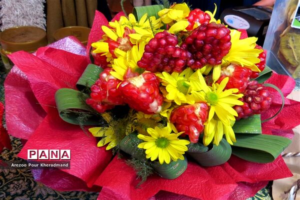 برگزاری جشنواره انار در باغ صدری شهرستان تفت در یزد