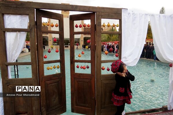برگزاری جشنواره انار در باغ صدری شهرستان تفت در یزد