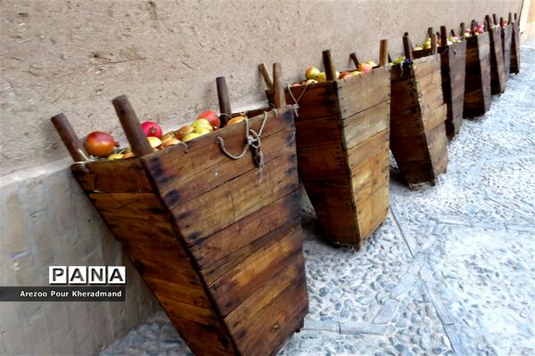 برگزاری جشنواره انار در باغ صدری شهرستان تفت در یزد