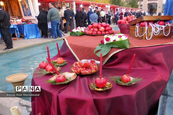 برگزاری جشنواره انار در باغ صدری شهرستان تفت در یزد