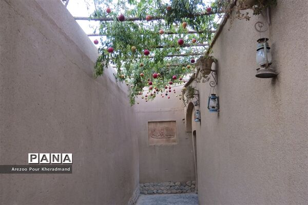 برگزاری جشنواره انار در باغ صدری شهرستان تفت در یزد