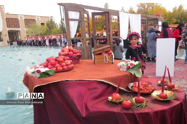 برگزاری جشنواره انار در باغ صدری شهرستان تفت در یزد