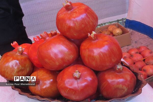 برگزاری جشنواره انار در باغ صدری شهرستان تفت در یزد