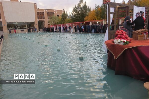 برگزاری جشنواره انار در باغ صدری شهرستان تفت در یزد