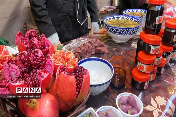 برگزاری جشنواره انار در باغ صدری شهرستان تفت در یزد