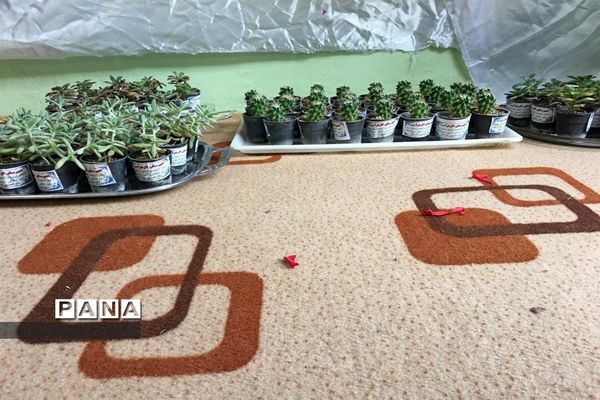 برگزاری مراسم تجلیل از دانش‌آموزان و جشن امام زمان