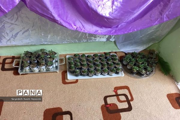 برگزاری مراسم تجلیل از دانش‌آموزان و جشن امام زمان