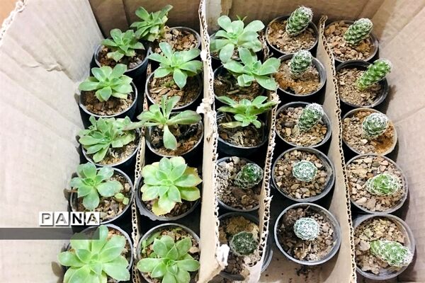 برگزاری مراسم تجلیل از دانش‌آموزان و جشن امام زمان