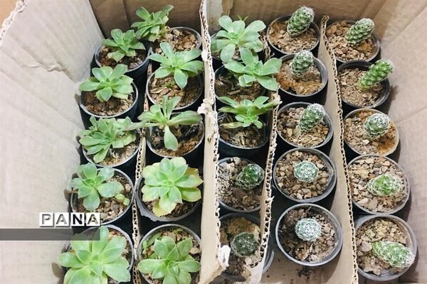 برگزاری مراسم تجلیل از دانش‌آموزان و جشن امام زمان