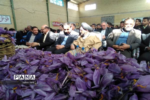 برگزاری جشنواره زعفران در شهر مشکان نی ریز