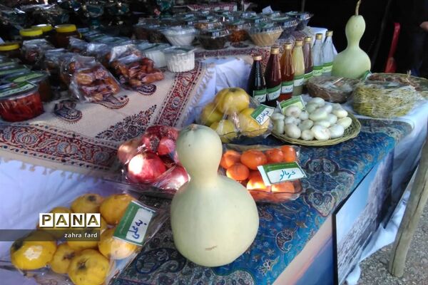 برگزاری جشنواره زعفران در شهر مشکان نی ریز