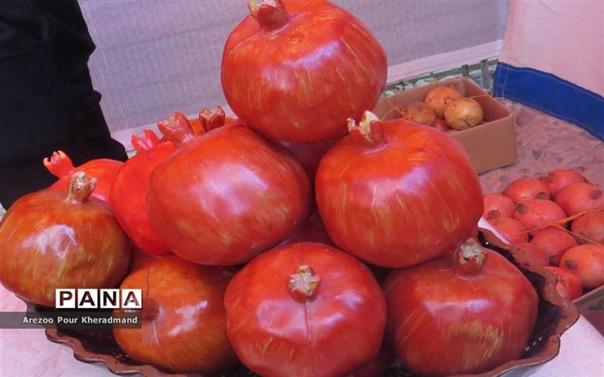  ۹۱۵ هزار تن انار در سال جاری تولید می‌شود