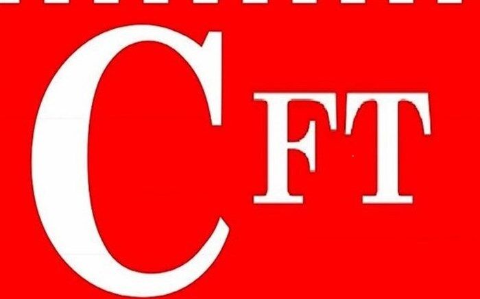 جزئیات نشست کمیسیون امنیت ملی: کارگروه مشورتی بررسی CFT تشکیل می‌شود