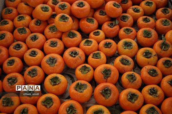 بازار روز میوه و تره‌بار فریدونکنار