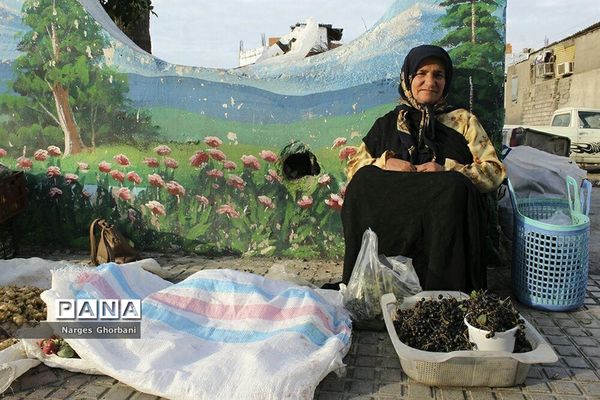 بازار روز میوه و تره‌بار فریدونکنار