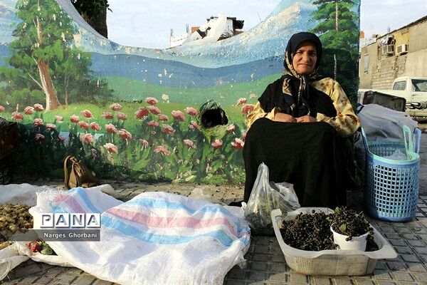 بازار روز میوه و تره‌بار فریدونکنار
