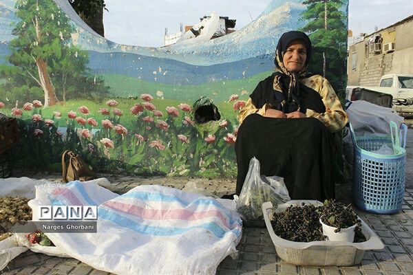 بازار روز میوه و تره‌بار فریدونکنار