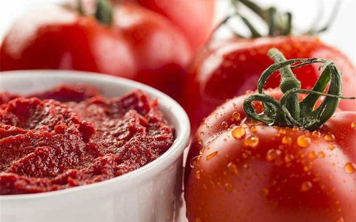 صادرات رب گوجه فرنگی آزاد شد
