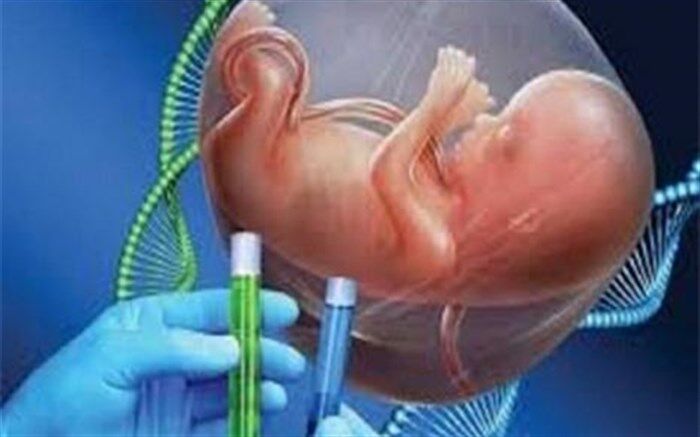 فعالیت۲۷۴ مرکز مشاوره ژنتیک در کشور