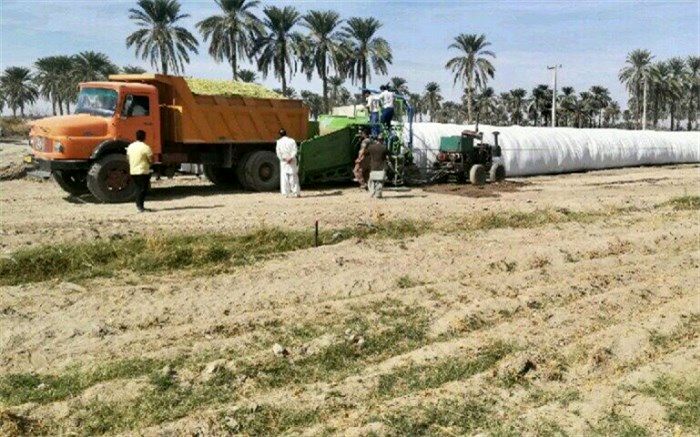 اجرای سیلوی ذرت علوفه ای به روش تونلی