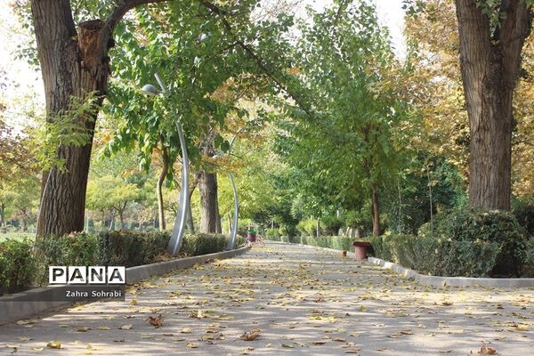 طبیعت پاییزی پارک لاله تهران