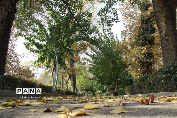 طبیعت پاییزی پارک لاله تهران