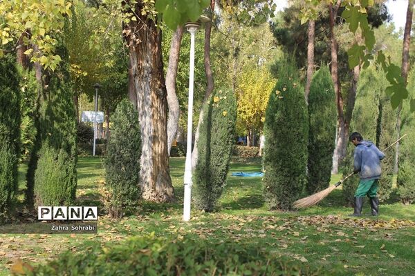 طبیعت پاییزی پارک لاله تهران