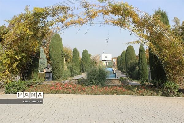 طبیعت پاییزی پارک لاله تهران