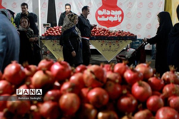 هشتمین جشنواره انار صد دانه یاقوت