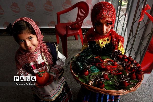 هشتمین جشنواره انار صد دانه یاقوت