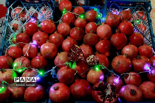 هشتمین جشنواره انار صد دانه یاقوت