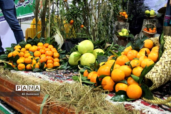 جشنواره ملی مرکبات و اقوام عشایر