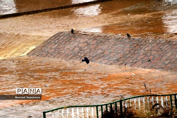 بارش باران در تبریز
