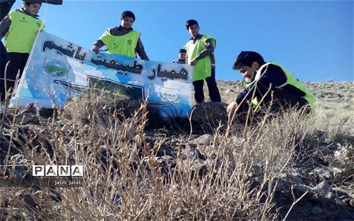 بادام کاری پنج جریب از کوهستان توسط دانش آموزان کاشان