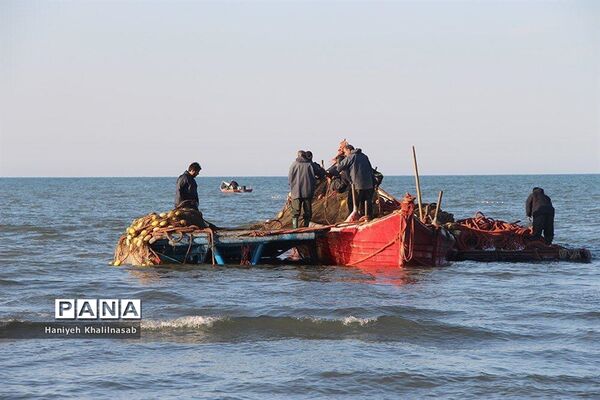 فصل ماهیگیری