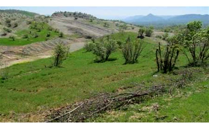 146 هکتار از اراضی ملی و منابع طبیعی مازندران به بیت‌المال برگردانده شد