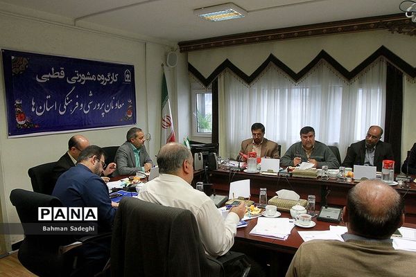 کارگروه مشورتی قطبی معاونان پرورشی  و فرهنگی استان‌ها