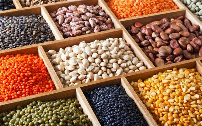 صادرات ۱۸ نوع ماده غذایی ممنوع شد