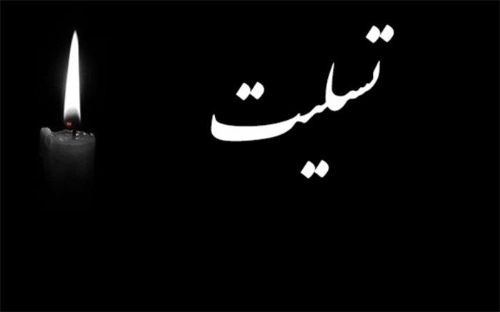 نمایندگان دانش آموزان سیستان و بلوچستان با انتشار پیامی ابراز همدردی خود را اعلام کردند