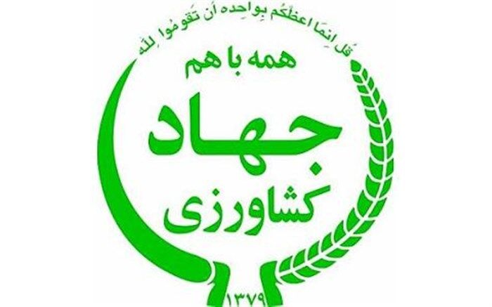 استقبال باغداران و تشکل‌های آذربایجان غربی از تشکیل زنجیره صادرات سیب درختی