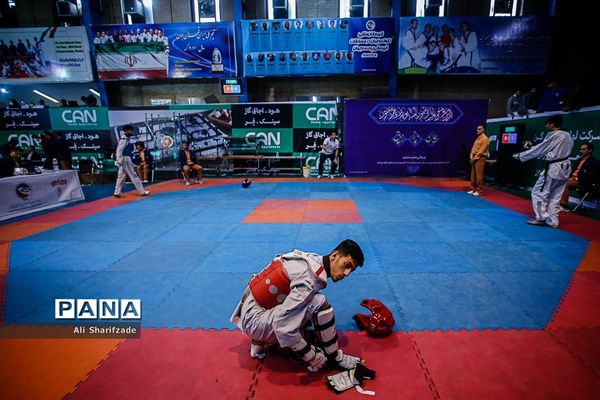 لیگ برتر تکواندو