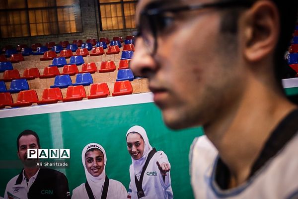 لیگ برتر تکواندو