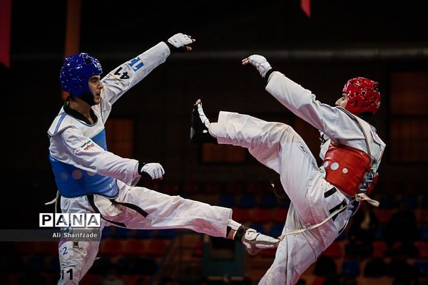 لیگ برتر تکواندو