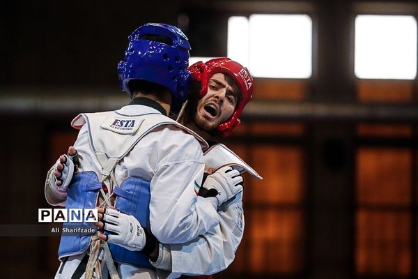 لیگ برتر تکواندو