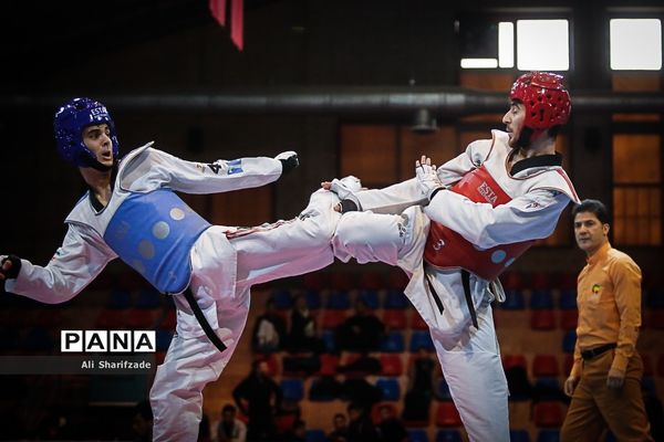 لیگ برتر تکواندو