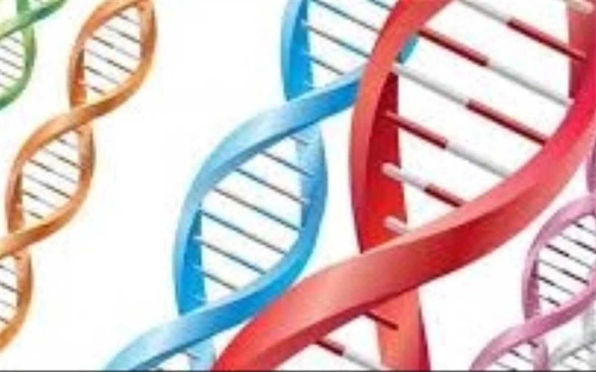 اجرای طرح آموزشی پیشگیری از ناهنجاری های ژنتیکی و وراثتی در چهاردانگه