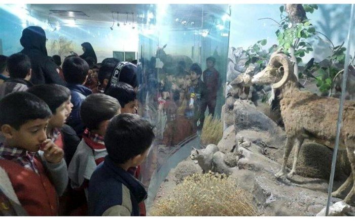 بازدید دانش آموزان دبستان علامه حلی 1 (دوره اول)از گنجینه تنوع زیستی استان خراسان جنوبی